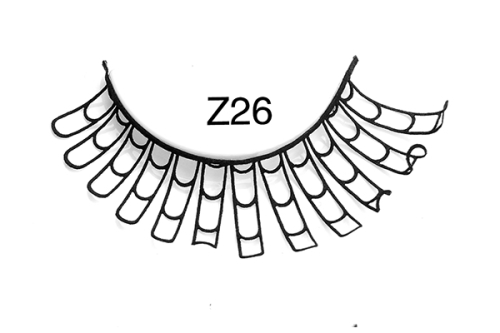 Z26