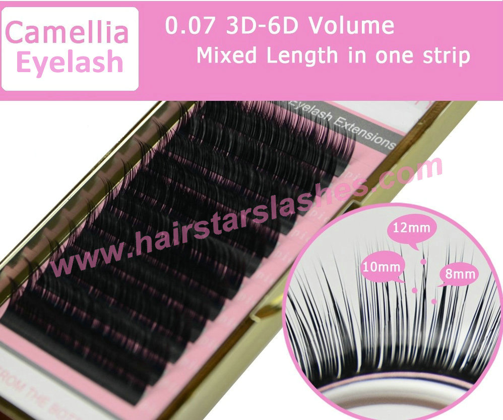 Camellia Eyelash Extensions